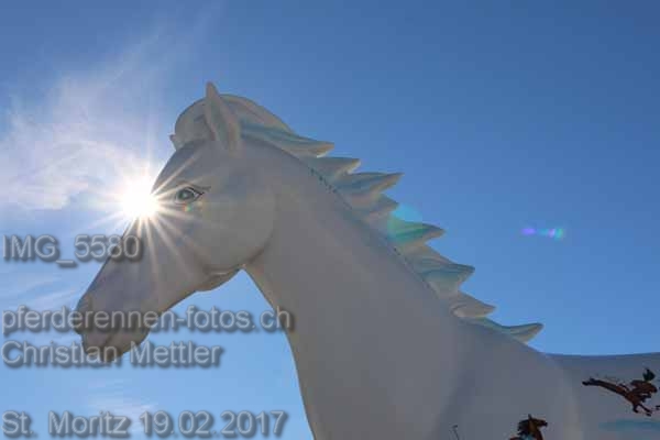 IMG 5580 prot